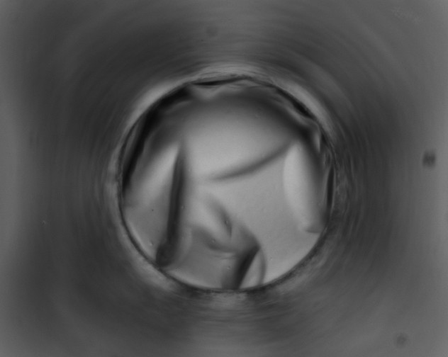 X0000101171055200807181419