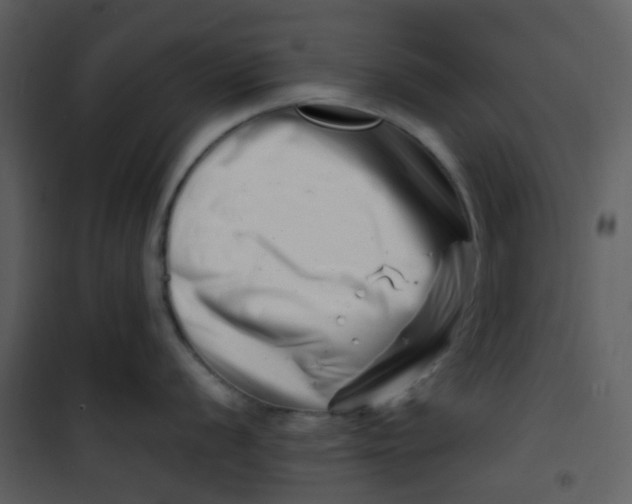 X0000101171056200807181419