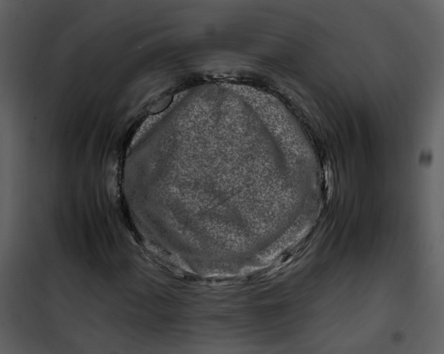 X0000101171060200807181418