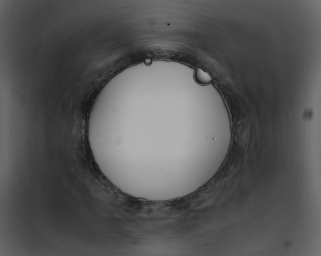 X0000101171061200807181418