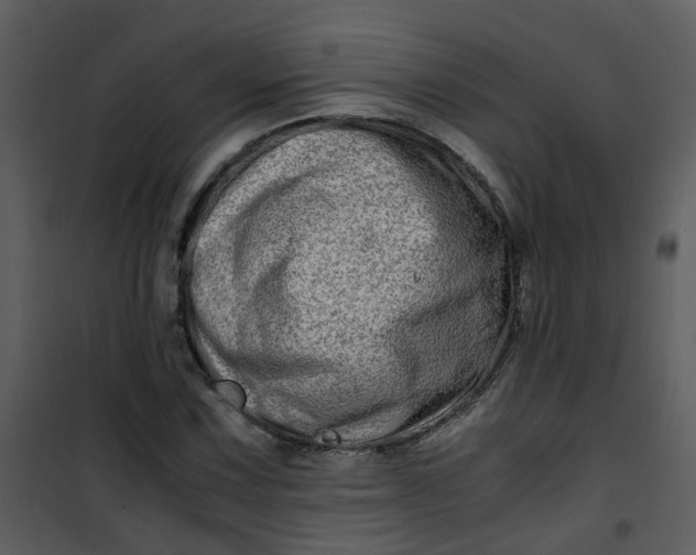 X0000101171067200807181418