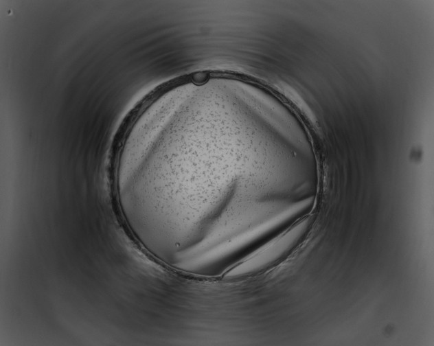 X0000101171068200807181418