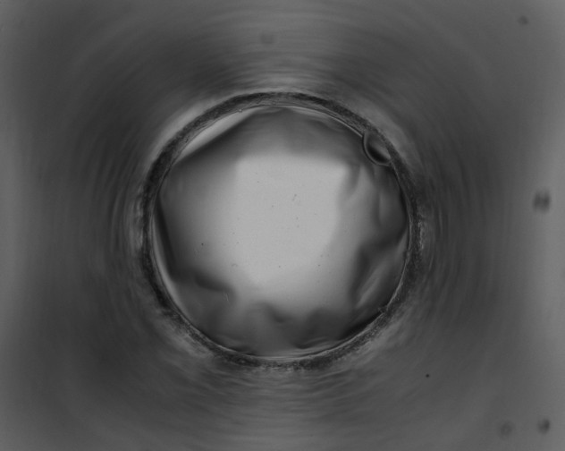 X0000101171069200807181418
