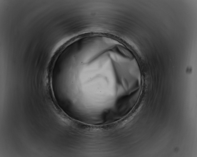 X0000101171070200807181418