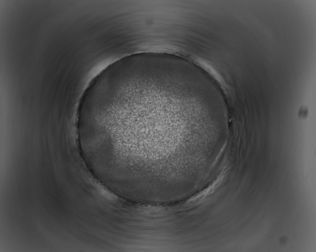 X0000101171071200807181418