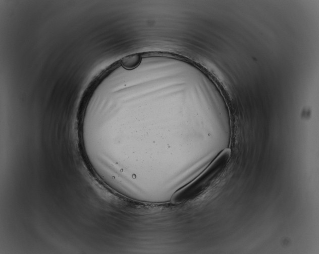 X0000101171072200807181418