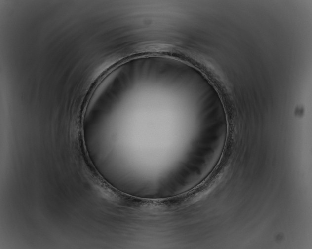 X0000101171073200807181418