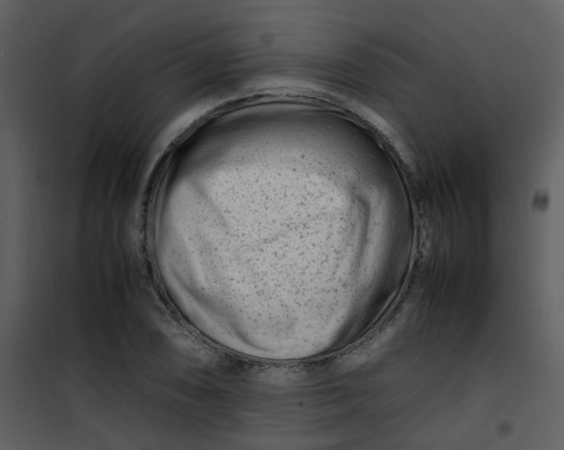 X0000101171074200807181418