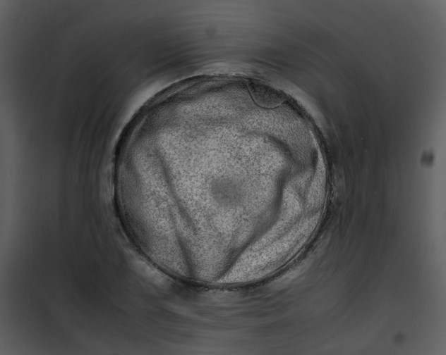 X0000101171075200807181418