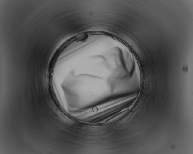 X0000101171076200807181418