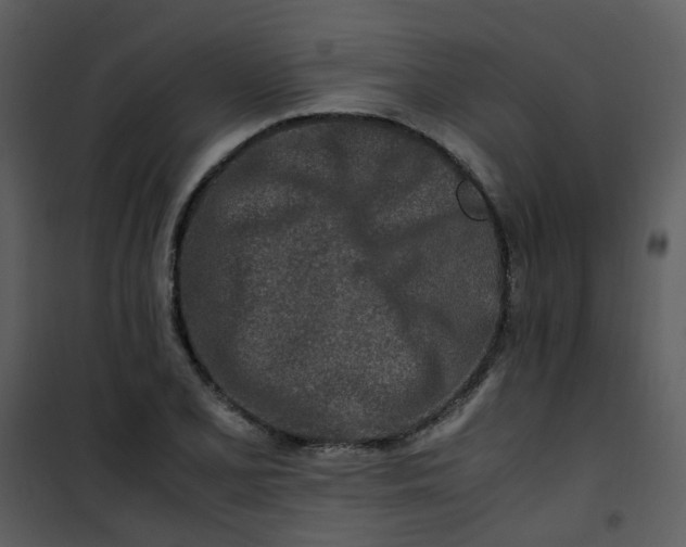 X0000101171077200807181418