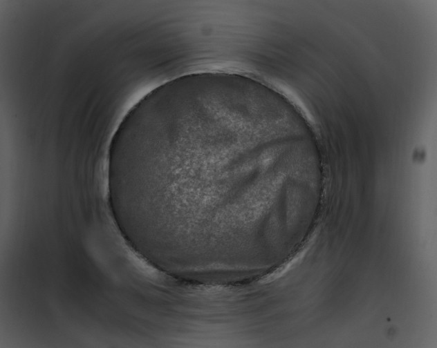 X0000101171079200807181418