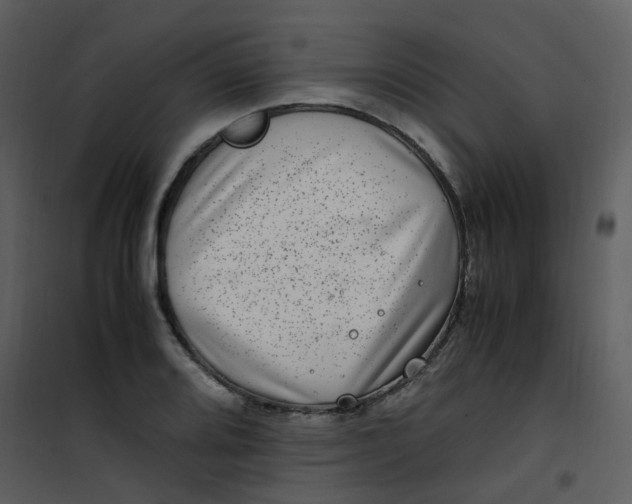 X0000101171080200807181418