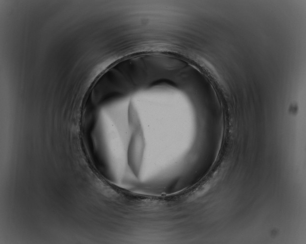 X0000101171081200807181418