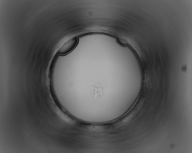 X0000101171082200807181418