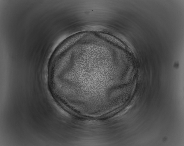 X0000101171083200807181418