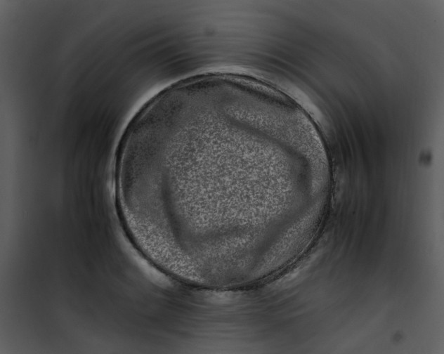 X0000101171084200807181418