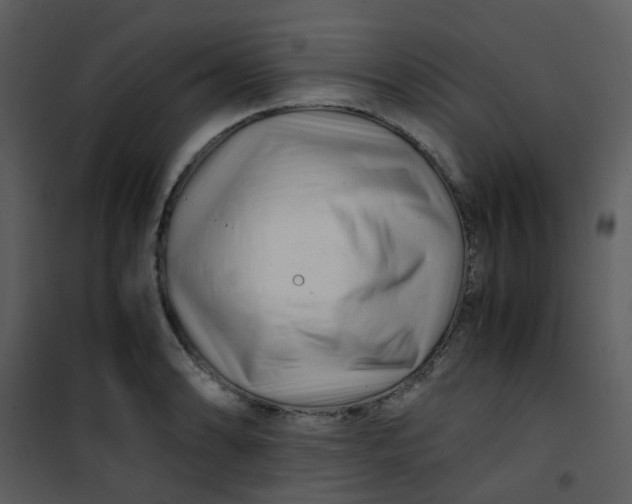 X0000101171086200807181417