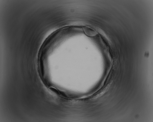 X0000101171087200807181417