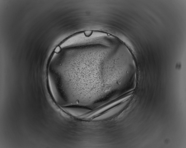 X0000101171088200807181417