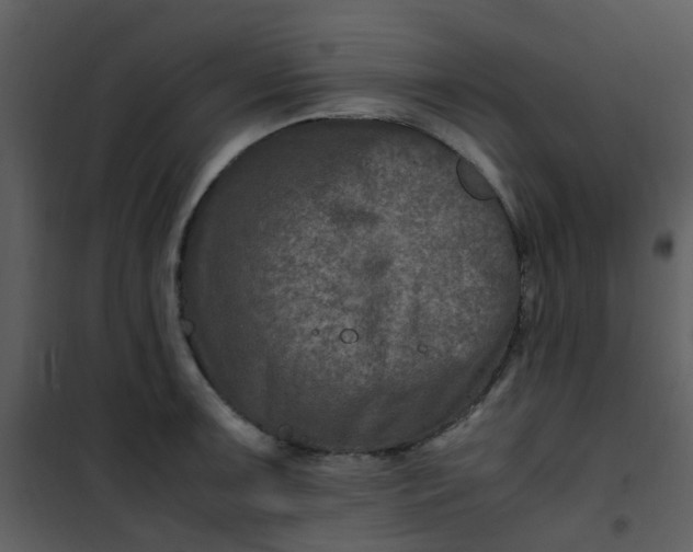 X0000101171091200807181417