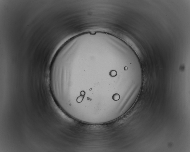X0000101171092200807181417