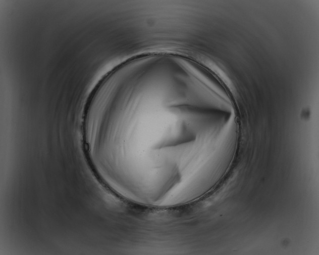 X0000101171093200807181417