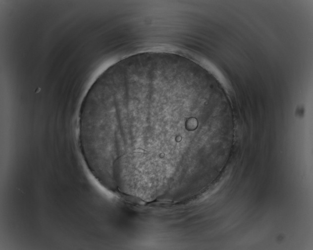 X0000101171095200807181417