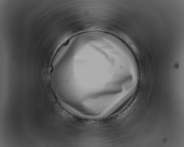 X0000101171097200807181417