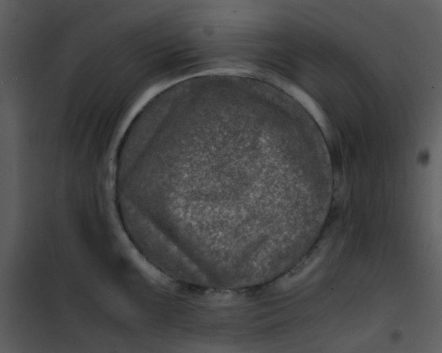 X0000101171099200807181417