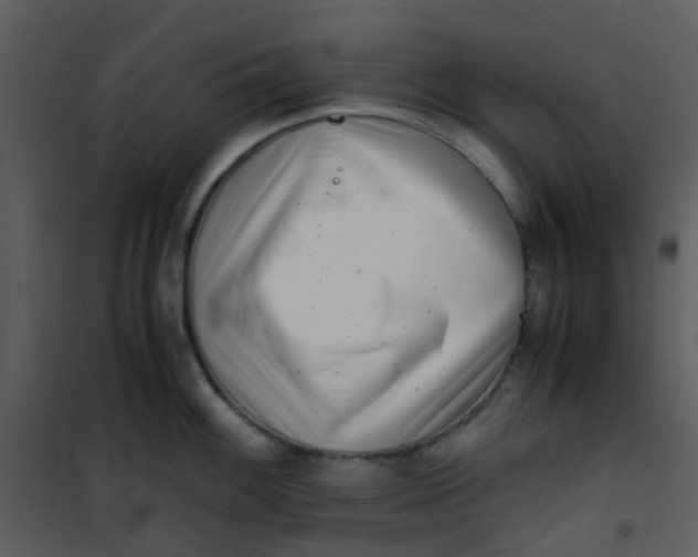 X0000101171100200807181417