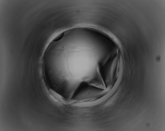 X0000101171102200807181417