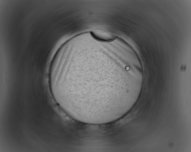 X0000101171104200807181417