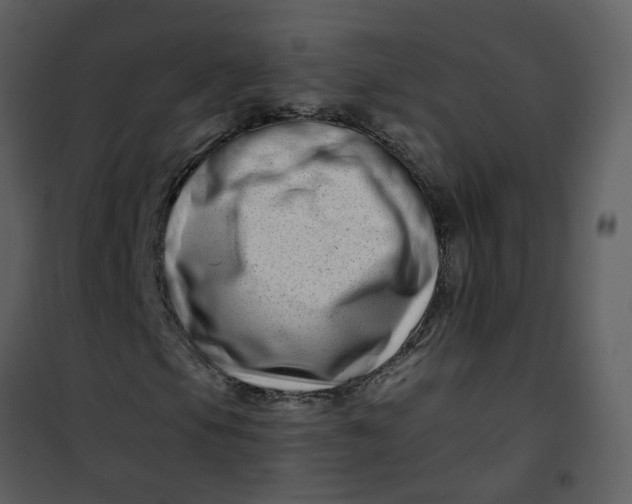 X0000101171105200807181416