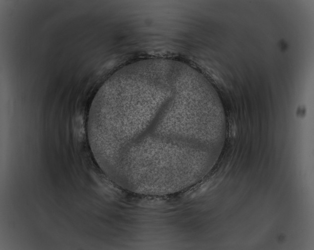 X0000101171106200807181416