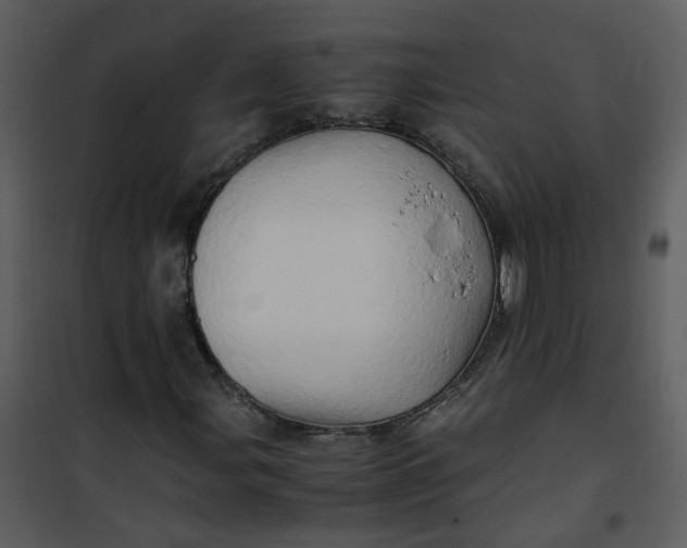 X0000101171107200807181416