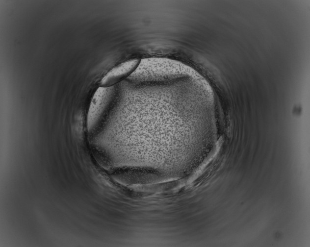 X0000101171108200807181416