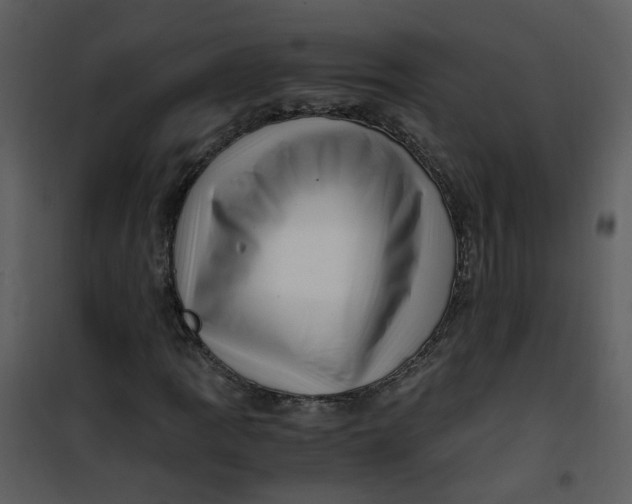 X0000101171109200807181416