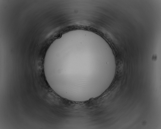 X0000101171110200807181416