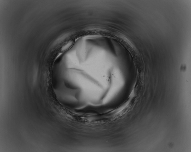 X0000101171111200807181416