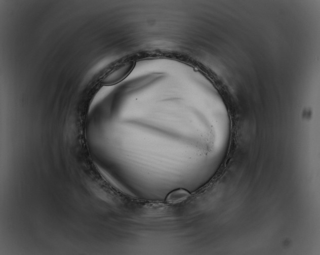X0000101171112200807181416