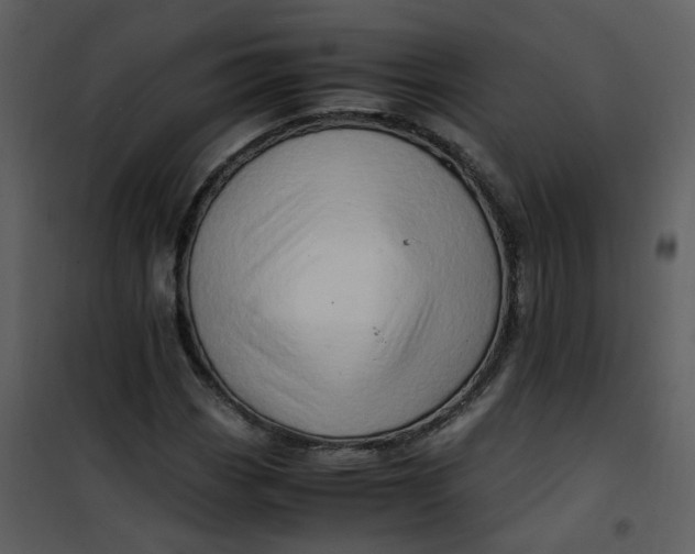 X0000101171113200807181416
