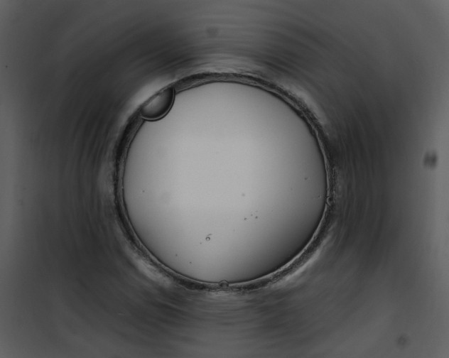 X0000101171114200807181416