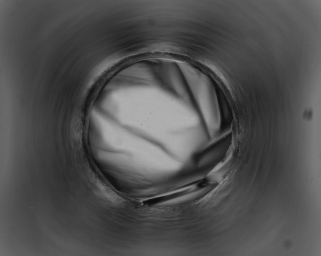 X0000101171115200807181416