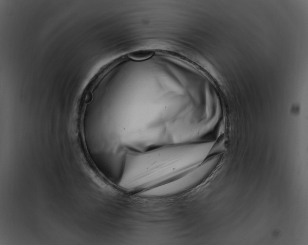 X0000101171116200807181417