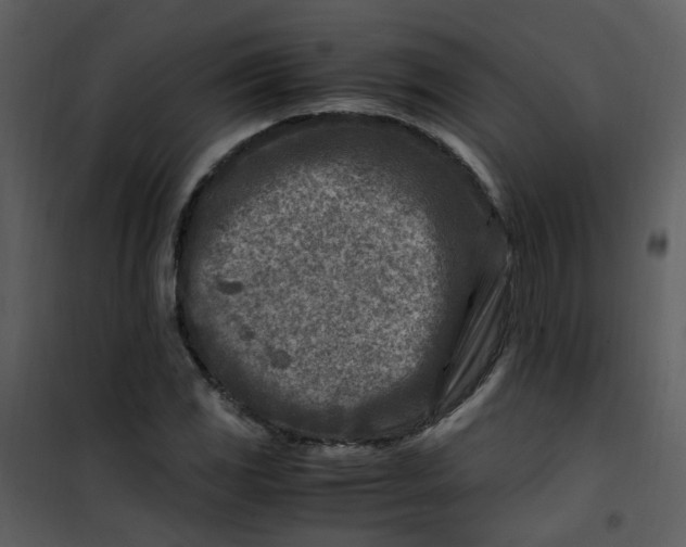 X0000101171117200807181417
