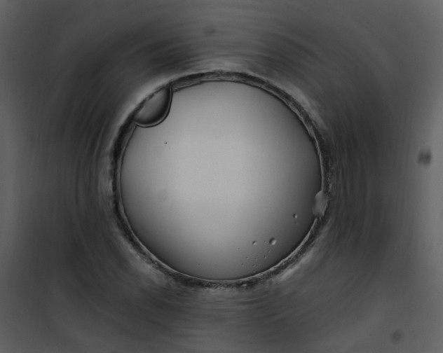 X0000101171118200807181417