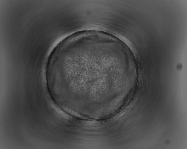 X0000101171120200807181417
