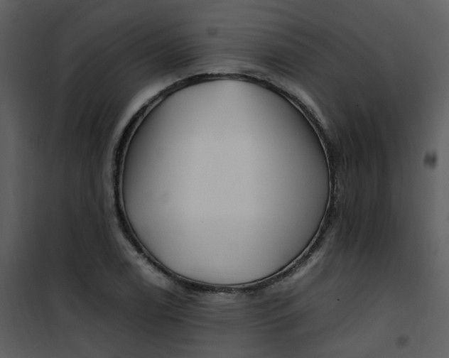 X0000101171122200807181417