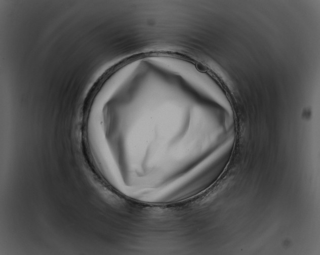 X0000101171124200807181417
